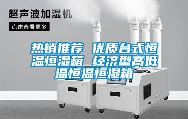 熱銷推薦 優(yōu)質(zhì)臺(tái)式恒溫恒濕箱 經(jīng)濟(jì)型高低溫恒溫恒濕箱