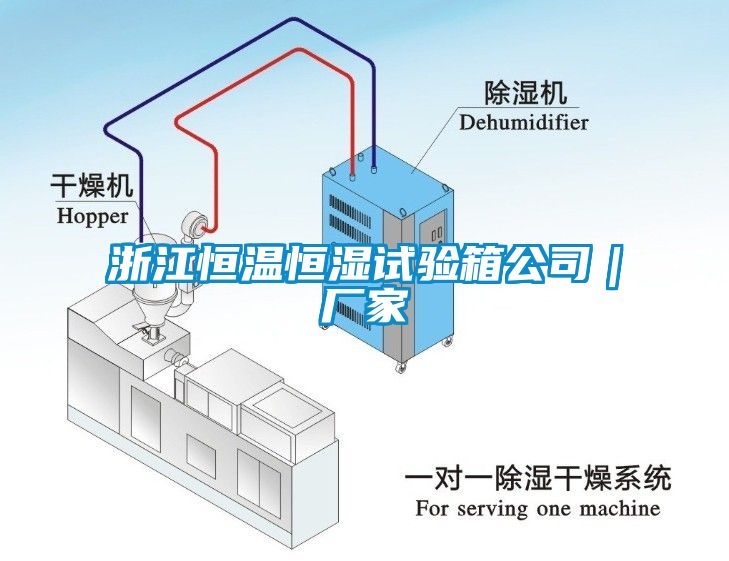 浙江恒溫恒濕試驗箱公司｜廠家