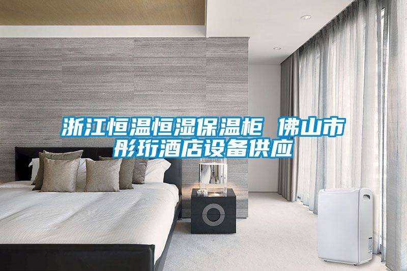 浙江恒溫恒濕保溫柜 佛山市彤珩酒店設(shè)備供應(yīng)