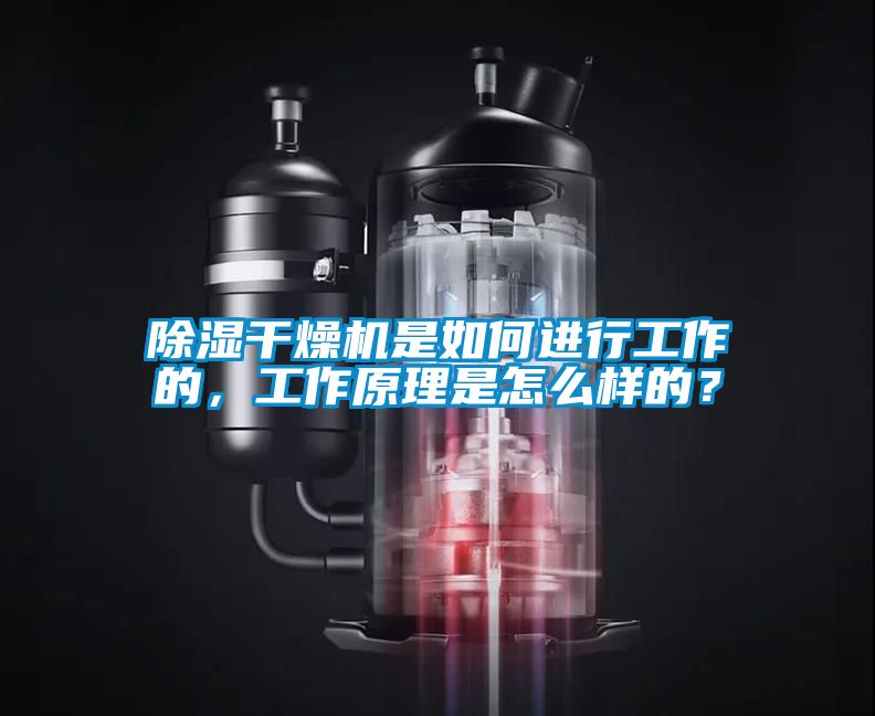 除濕干燥機是如何進行工作的，工作原理是怎么樣的？