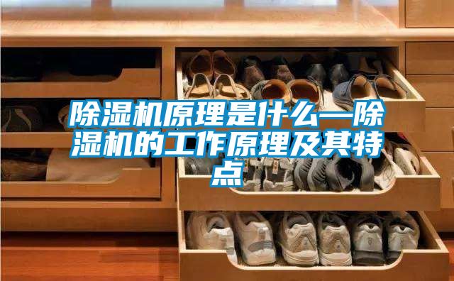 除濕機(jī)原理是什么—除濕機(jī)的工作原理及其特點(diǎn)