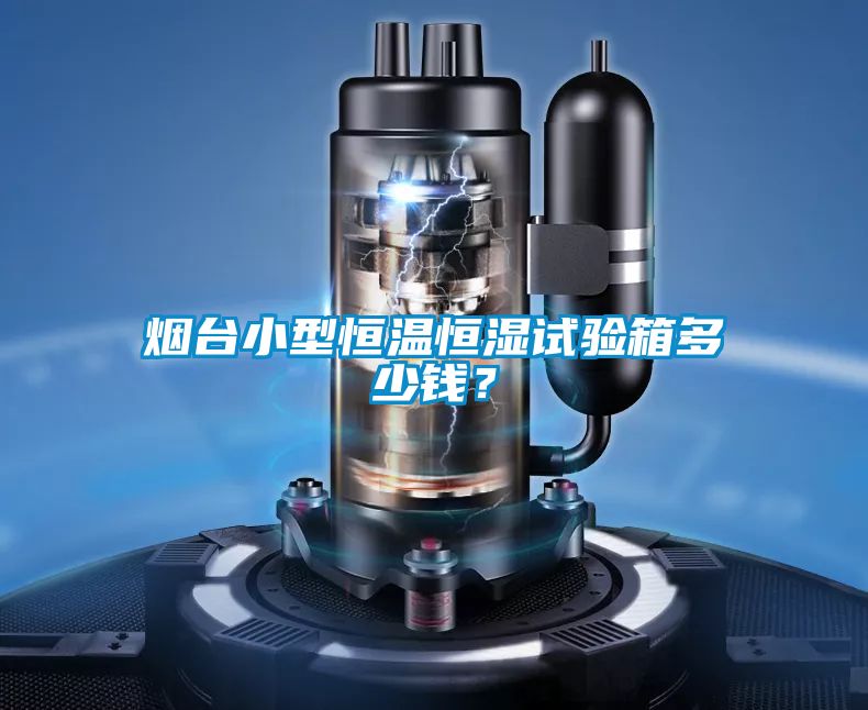 煙臺小型恒溫恒濕試驗箱多少錢？