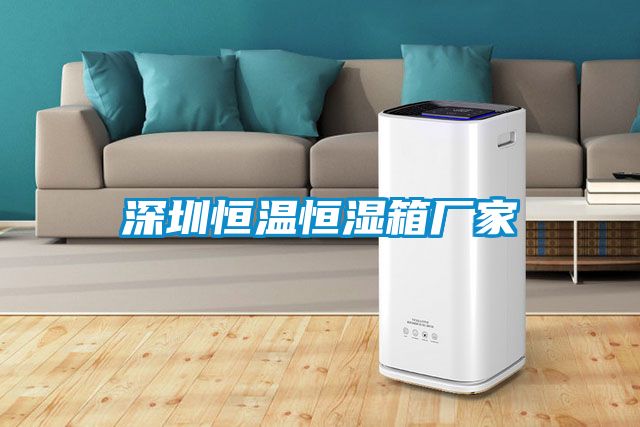 深圳恒溫恒濕箱廠家