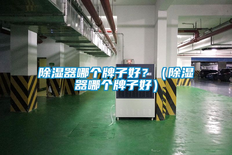 除濕器哪個牌子好？（除濕器哪個牌子好）