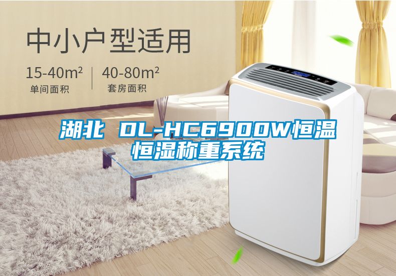 湖北 DL-HC6900W恒溫恒濕稱重系統