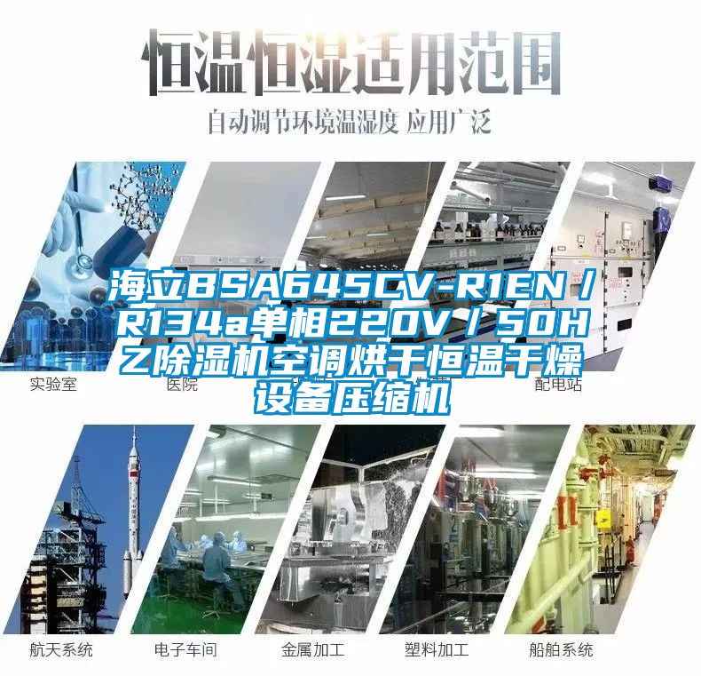 海立BSA645CV-R1EN／R134a單相220V／50HZ除濕機空調烘干恒溫干燥設備壓縮機