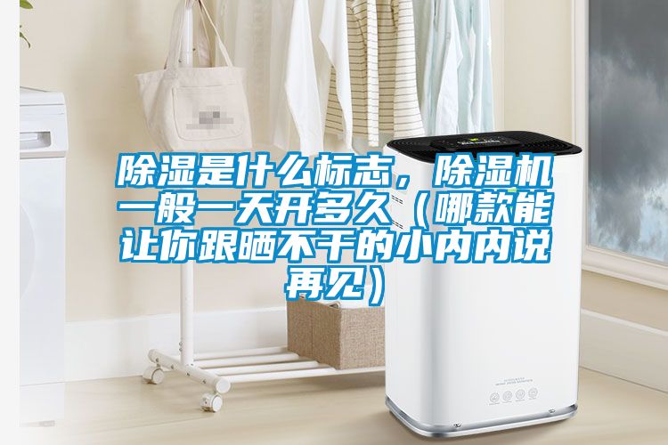除濕是什么標志，除濕機一般一天開多久（哪款能讓你跟曬不干的小內內說再見）