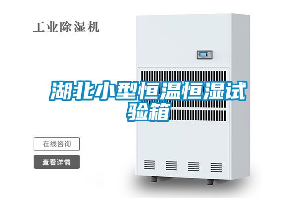 湖北小型恒溫恒濕試驗箱