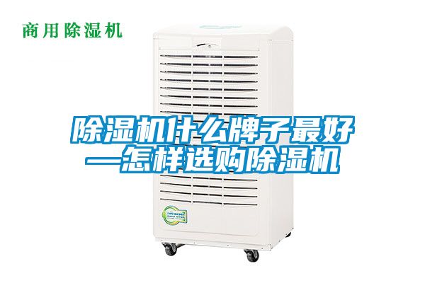 除濕機(jī)什么牌子最好—怎樣選購除濕機(jī)