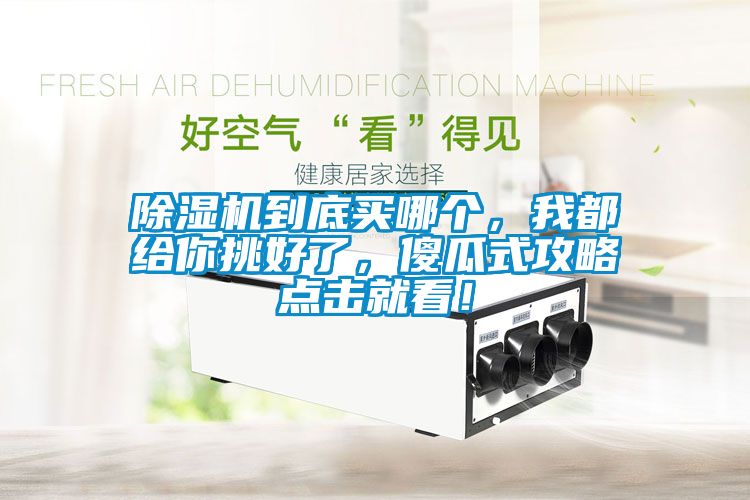 除濕機到底買哪個，我都給你挑好了，傻瓜式攻略點擊就看！