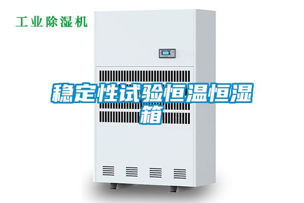 穩定性試驗恒溫恒濕箱