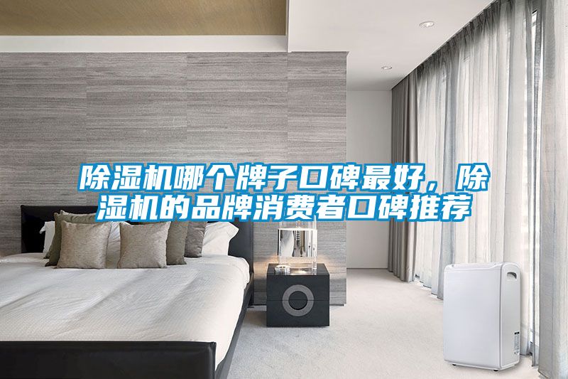 除濕機哪個牌子口碑最好，除濕機的品牌消費者口碑推薦