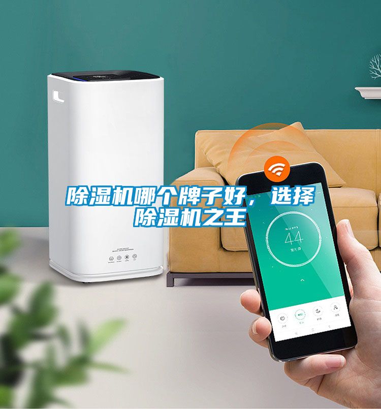 除濕機哪個牌子好，選擇除濕機之王