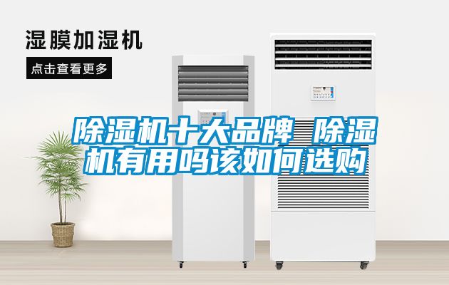 除濕機十大品牌 除濕機有用嗎該如何選購