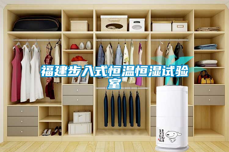 福建步入式恒溫恒濕試驗室