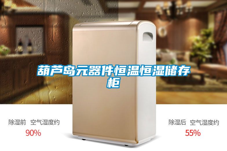 葫蘆島元器件恒溫恒濕儲存柜