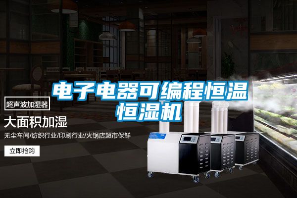 電子電器可編程恒溫恒濕機