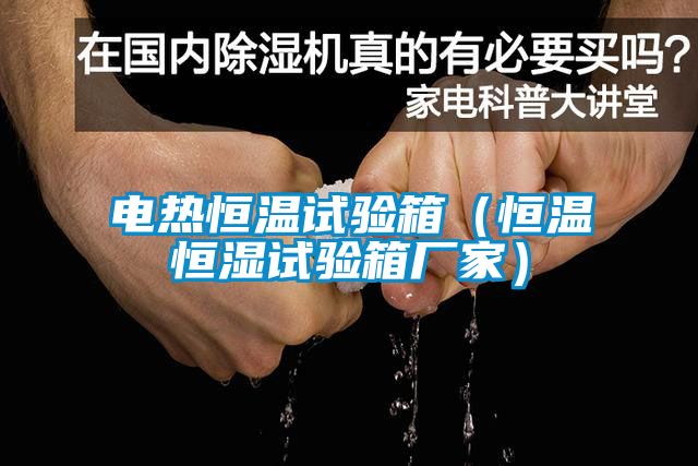 電熱恒溫試驗箱（恒溫恒濕試驗箱廠家）