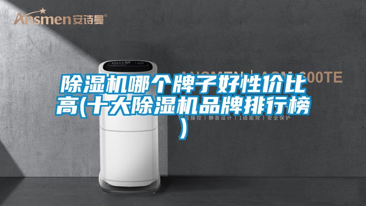 除濕機哪個牌子好性價比高(十大除濕機品牌排行榜)
