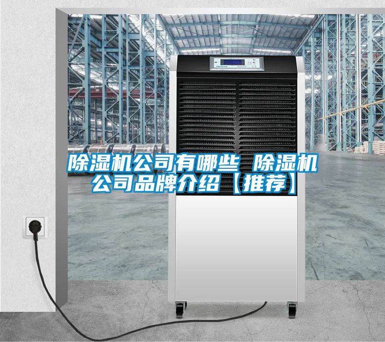除濕機(jī)公司有哪些 除濕機(jī)公司品牌介紹【推薦】