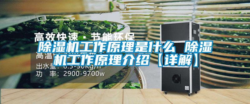 除濕機工作原理是什么 除濕機工作原理介紹【詳解】