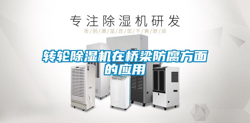 轉(zhuǎn)輪除濕機(jī)在橋梁防腐方面的應(yīng)用