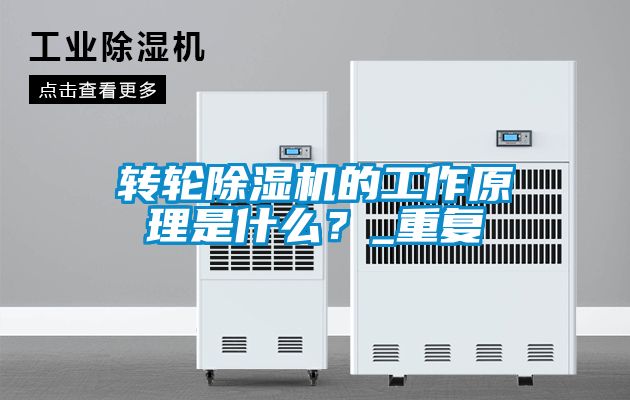轉輪除濕機的工作原理是什么？_重復