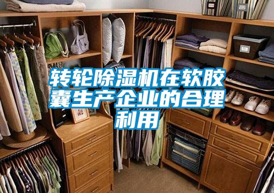 轉輪除濕機在軟膠囊生產企業的合理利用