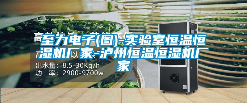 至力電子(圖)-實(shí)驗(yàn)室恒溫恒濕機(jī)廠家-瀘州恒溫恒濕機(jī)廠家