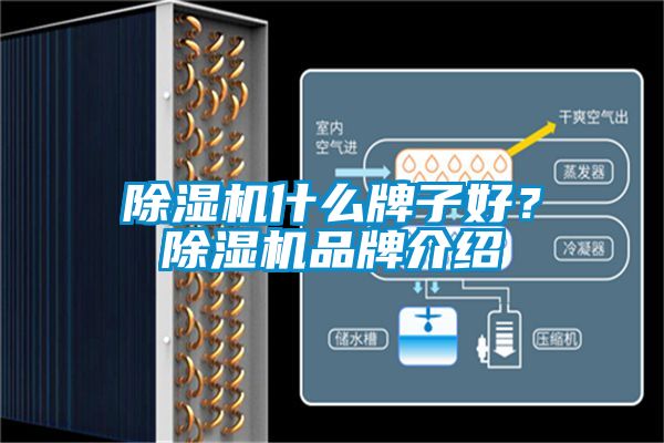除濕機什么牌子好？除濕機品牌介紹
