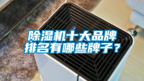除濕機十大品牌排名有哪些牌子？