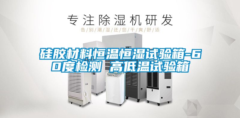 硅膠材料恒溫恒濕試驗箱-60度檢測 高低溫試驗箱
