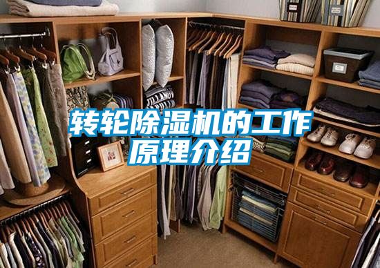 轉輪除濕機的工作原理介紹