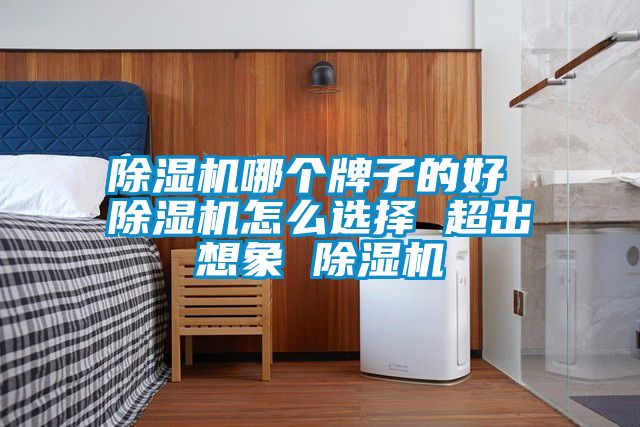 除濕機(jī)哪個(gè)牌子的好 除濕機(jī)怎么選擇 超出想象 除濕機(jī)
