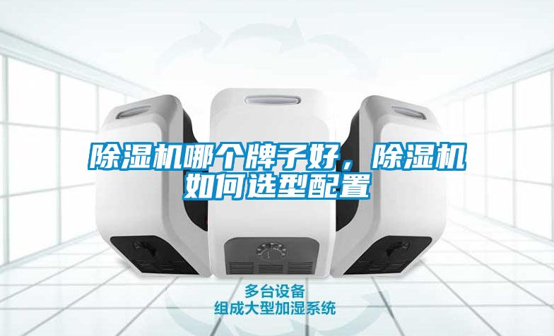 除濕機哪個牌子好，除濕機如何選型配置