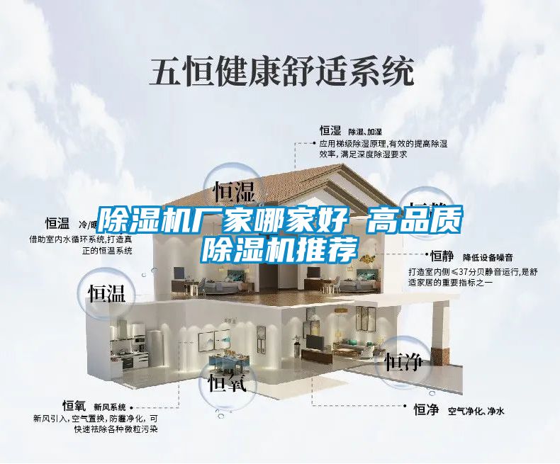 除濕機(jī)廠(chǎng)家哪家好 高品質(zhì)除濕機(jī)推薦