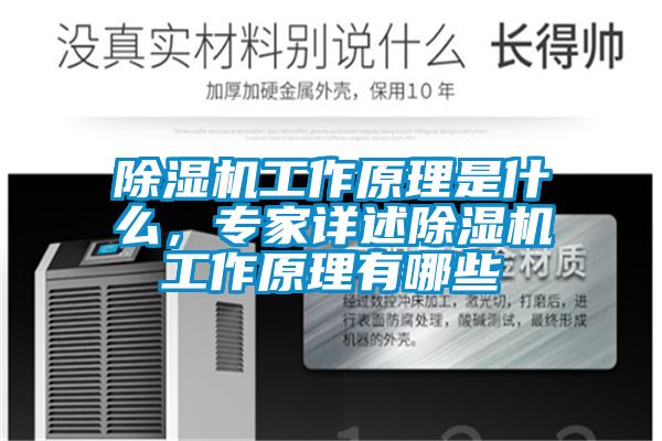 除濕機工作原理是什么，專家詳述除濕機工作原理有哪些