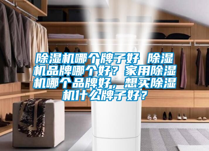 除濕機哪個牌子好 除濕機品牌哪個好？家用除濕機哪個品牌好，想買除濕機什么牌子好？