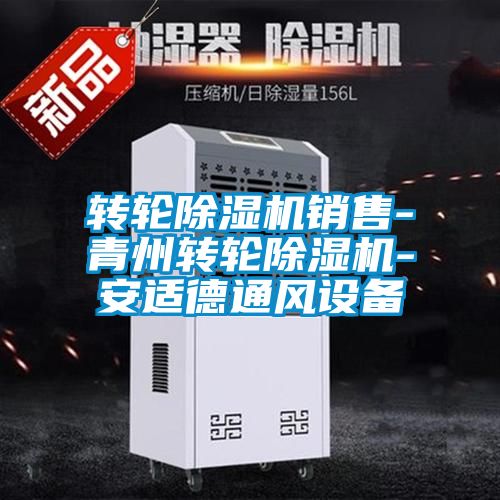 轉輪除濕機銷售-青州轉輪除濕機-安適德通風設備