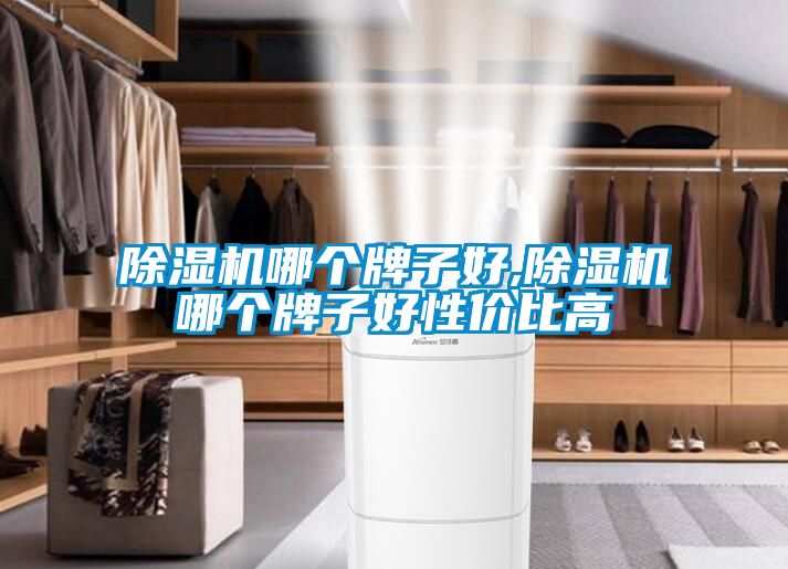 除濕機哪個牌子好,除濕機哪個牌子好性價比高
