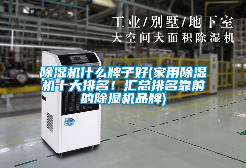 除濕機什么牌子好(家用除濕機十大排名！匯總排名靠前的除濕機品牌)