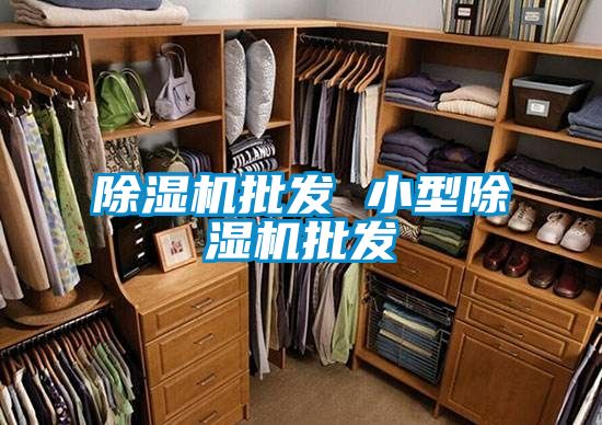 除濕機(jī)批發(fā) 小型除濕機(jī)批發(fā)