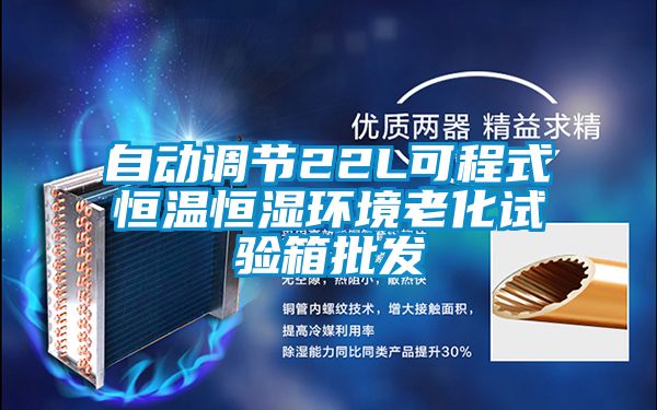 自動調(diào)節(jié)22L可程式恒溫恒濕環(huán)境老化試驗箱批發(fā)