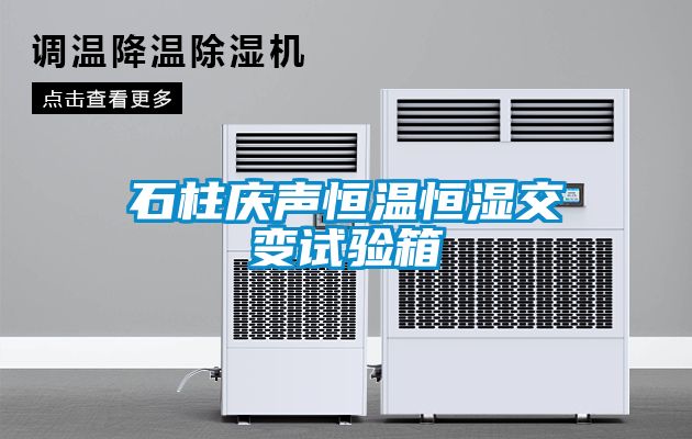 石柱慶聲恒溫恒濕交變試驗箱