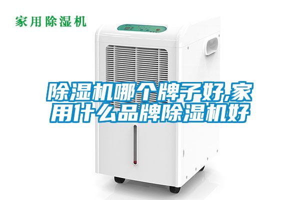 除濕機哪個牌子好,家用什么品牌除濕機好