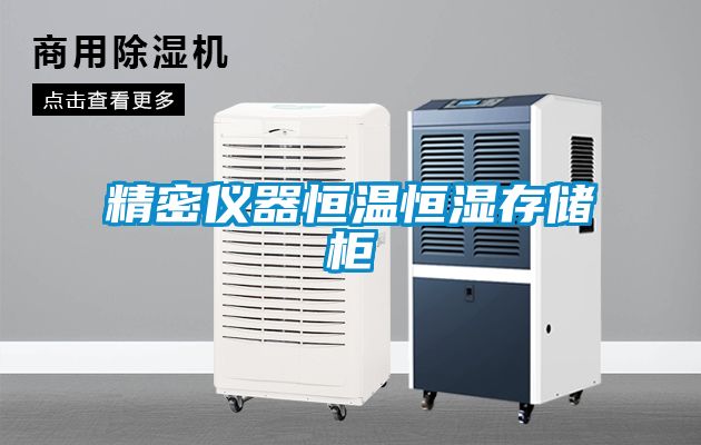 精密儀器恒溫恒濕存儲柜