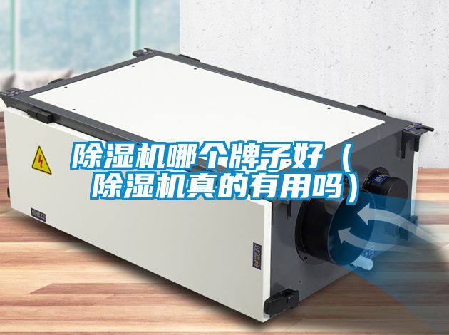 除濕機(jī)哪個(gè)牌子好（ 除濕機(jī)真的有用嗎）