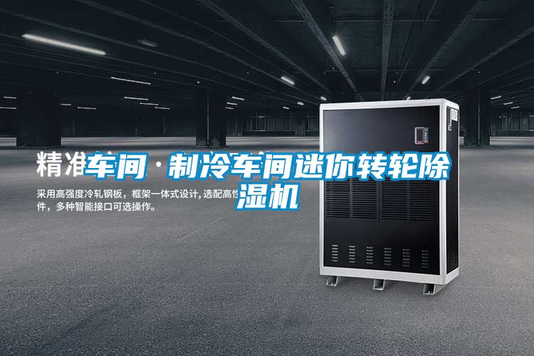 車間 制冷車間迷你轉(zhuǎn)輪除濕機