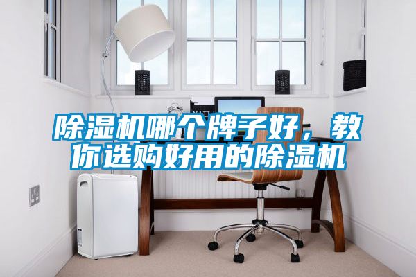 除濕機(jī)哪個(gè)牌子好，教你選購(gòu)好用的除濕機(jī)