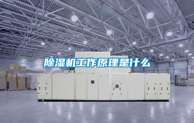 除濕機工作原理是什么